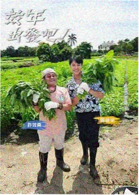 声音采集计划综艺封面
